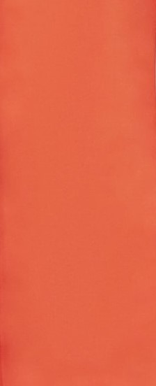 Triple Nine- T-shirt Miloe - Afbeelding 6