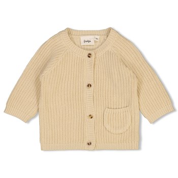 Gebreid vestje Baby